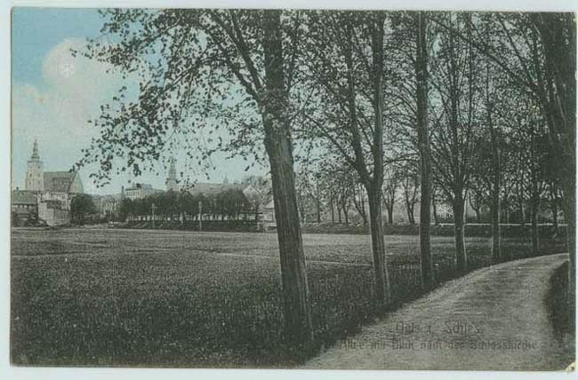 Blick_nach_Schlosskirche_Widok_na_Kosciol_zamkowy