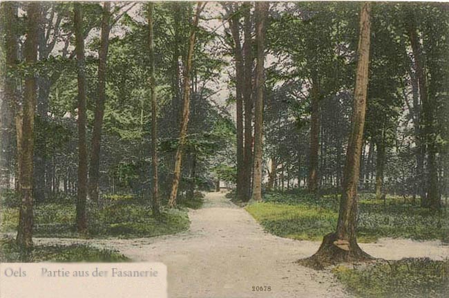 Fasanerie_Bazanciarnia_Park