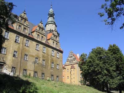 IMG_1626