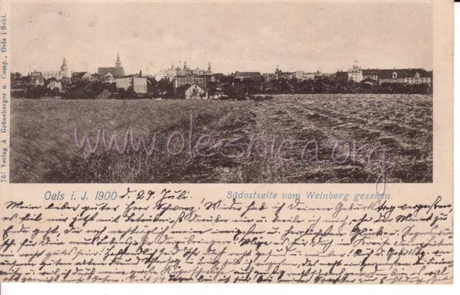 Widok_na_miasto1900